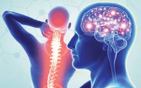 Brain & Spine Trauma
